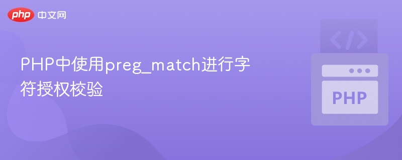 PHP中使用preg_match进行字符授权校验