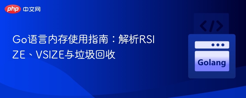 Go语言内存使用指南:解析RSIZE、VSIZE与垃圾回收