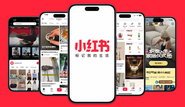 小红书网页版怎么关注用户_小红书网页版关注与取关操作详解