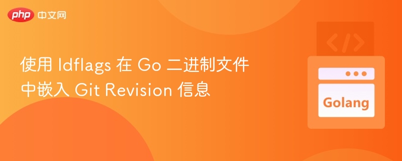使用 ldflags 在 Go 二进制文件中嵌入 Git Revision 信息