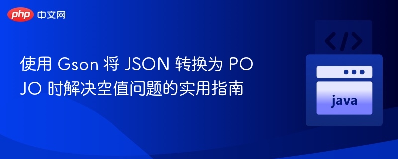 使用 Gson 将 JSON 转换为 POJO 时解决空值问题的实用指南