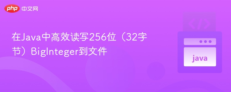 在Java中高效读写256位（32字节）BigInteger到文件