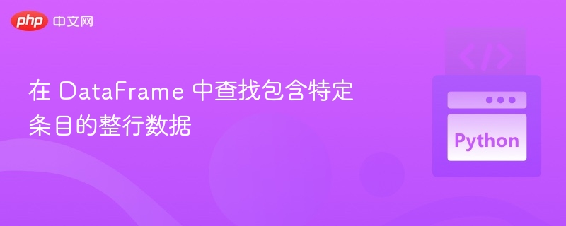 在 DataFrame 中查找包含特定条目的整行数据