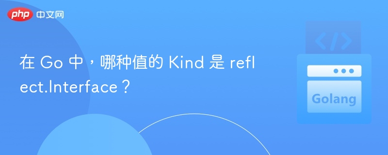 在 Go 中,哪种值的 Kind 是 reflect.Interface?