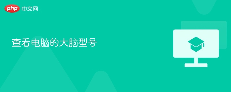 查看电脑的大脑型号