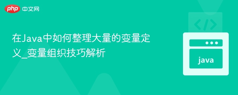 在Java中如何整理大量的变量定义_变量组织技巧解析