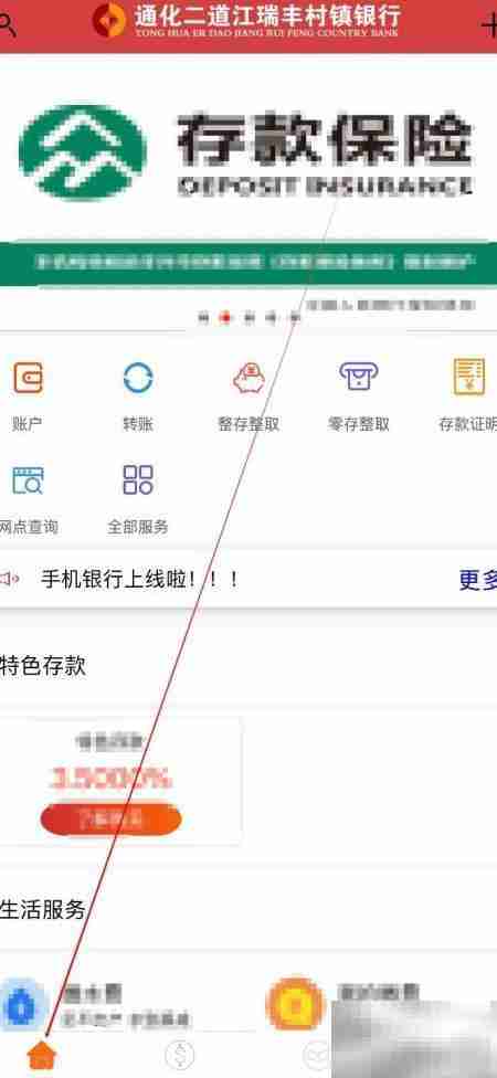 通化二道江瑞丰银行查账指南