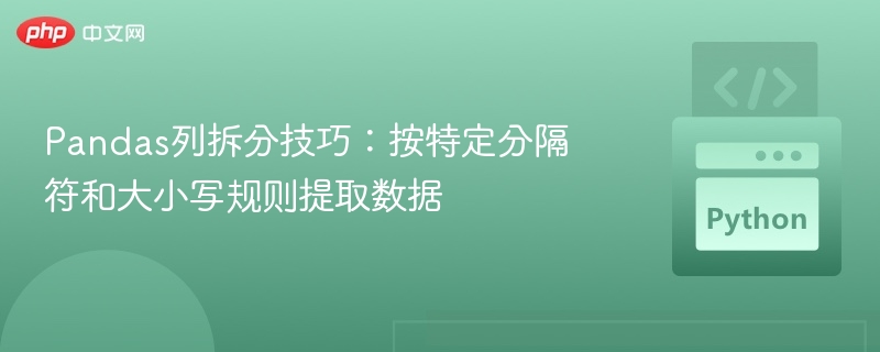 Pandas列拆分技巧:按特定分隔符和大小写规则提取数据
