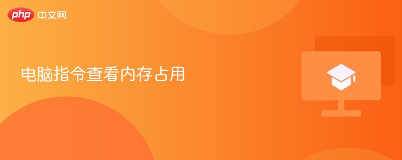 电脑指令查看内存占用