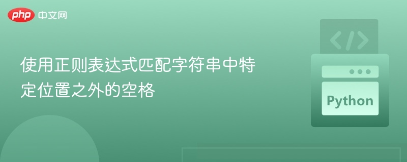 使用正则表达式匹配字符串中特定位置之外的空格
