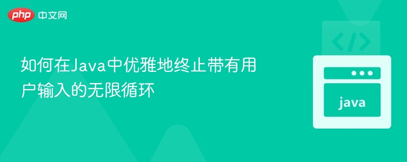 如何在Java中优雅地终止带有用户输入的无限循环