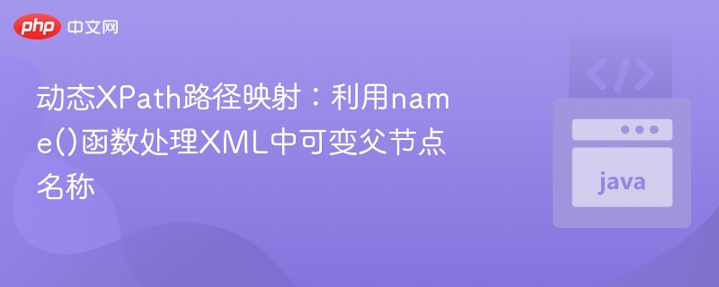 动态XPath路径映射:利用name()函数处理XML中可变父节点名称