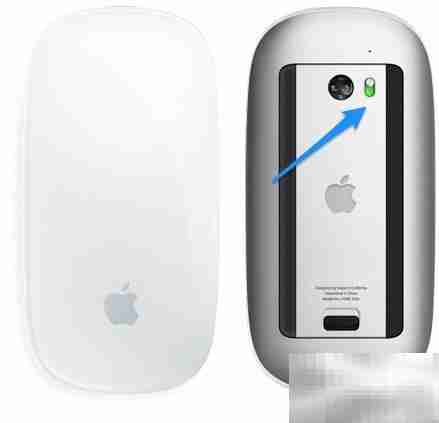 Magic Mouse 使用指南