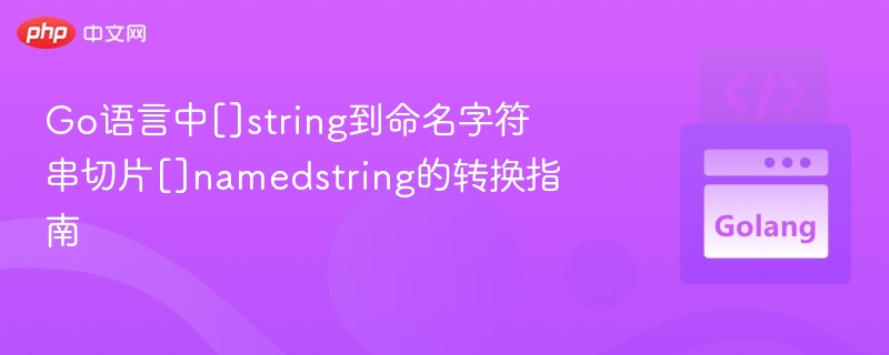 Go语言中[]string到命名字符串切片[]namedstring的转换指南