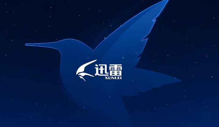 迅雷网盘企业版申请页面_迅雷网盘团队版功能介绍