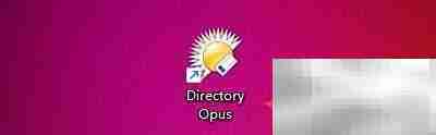 Directory Opus设置同步系统配置