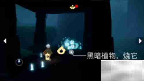 光遇2.10每日任务速通攻略