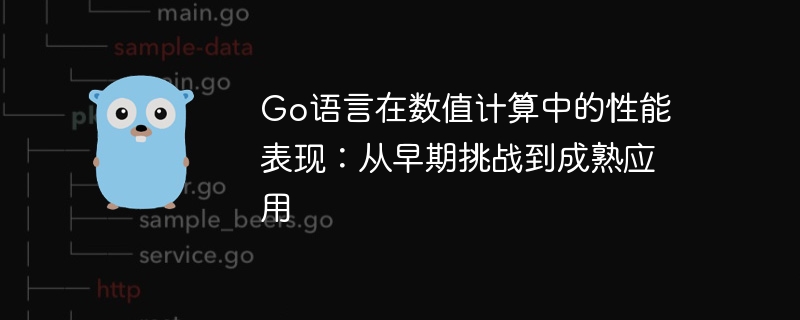 Go语言在数值计算中的性能表现:从早期挑战到成熟应用