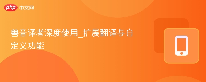 兽音译者深度使用_扩展翻译与自定义功能
