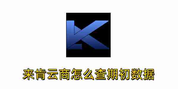 来肯云商怎么查期初数据?来肯云商查期初数据的方法