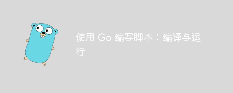 使用 Go 编写脚本:编译与运行