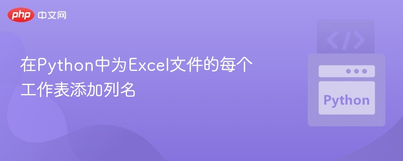 在Python中为Excel文件的每个工作表添加列名