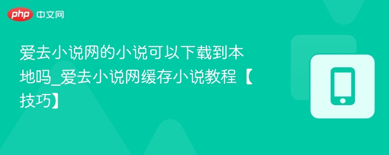 爱去小说网的小说可以下载到本地吗_爱去小说网缓存小说教程【技巧】