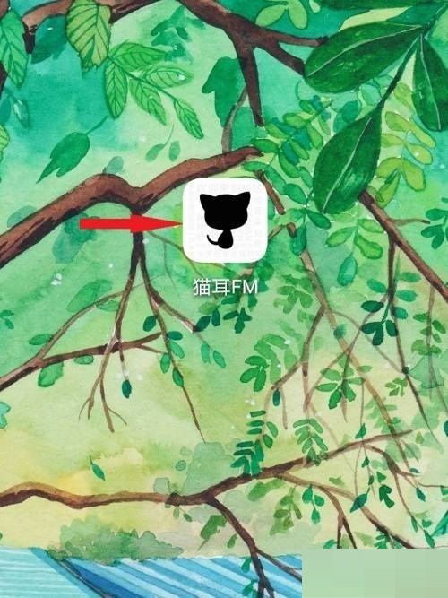 猫耳FM怎么设置头像音？详细教程