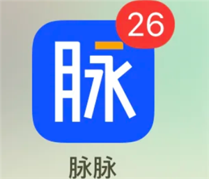 脉脉功能及求职可靠性解析