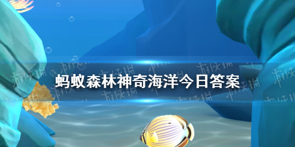白海真的存在吗?神奇海洋答案揭秘