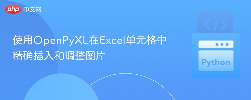 使用OpenPyXL在Excel单元格中精确插入和调整图片