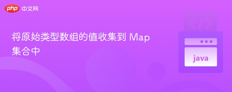 将原始类型数组的值收集到 Map 集合中