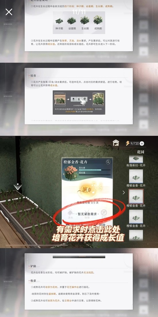 《恋与深空》家园与他一起朝夕相伴任务攻略