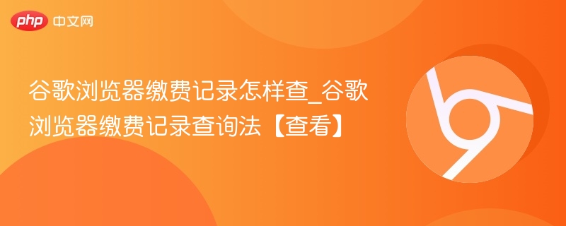 谷歌浏览器缴费记录怎样查_谷歌浏览器缴费记录查询法【查看】