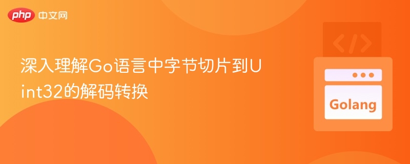 深入理解Go语言中字节切片到Uint32的解码转换