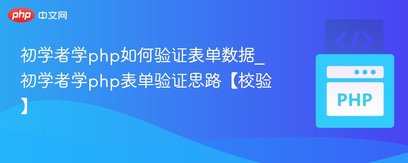 初学者学php如何验证表单数据_初学者学php表单验证思路【校验】