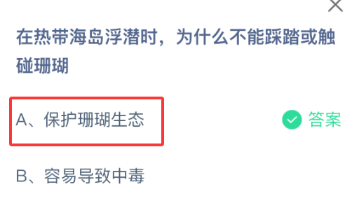 在热带海岛浮潜时,为什么不能踩踏或触碰珊瑚
