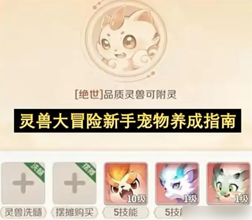 灵兽大冒险攻略 新手宠物养成详解