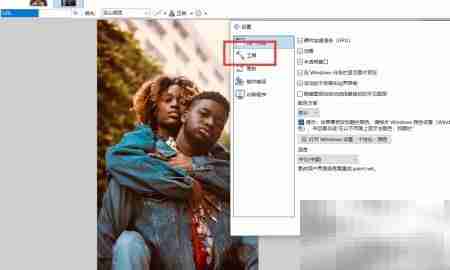 Paint.NET取色器设置方法