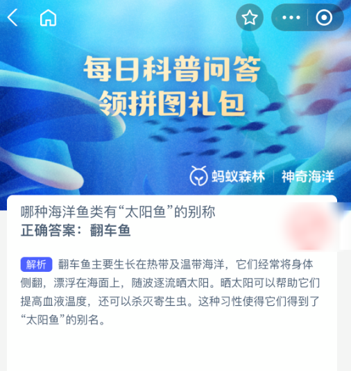 哪种海洋鱼类有太阳鱼的别称