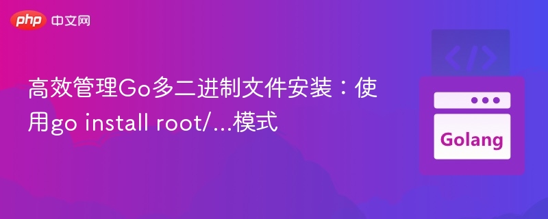 高效管理Go多二进制文件安装:使用go install root/...模式