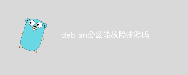 debian分区能故障排除吗