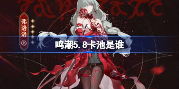 鸣潮2.5卡池角色全解析