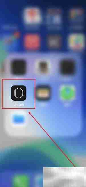 Apple Watch报时设置方法