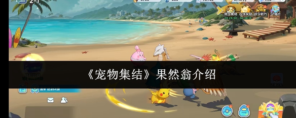 《宠物集结》果然翁介绍