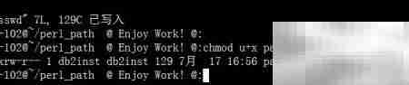Perl文件操作入门