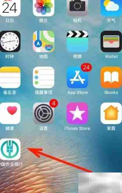 保险合同丢失如何办理退保