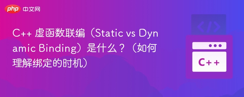 C++ 虚函数联编(Static vs Dynamic Binding)是什么?(如何理解绑定的时机)