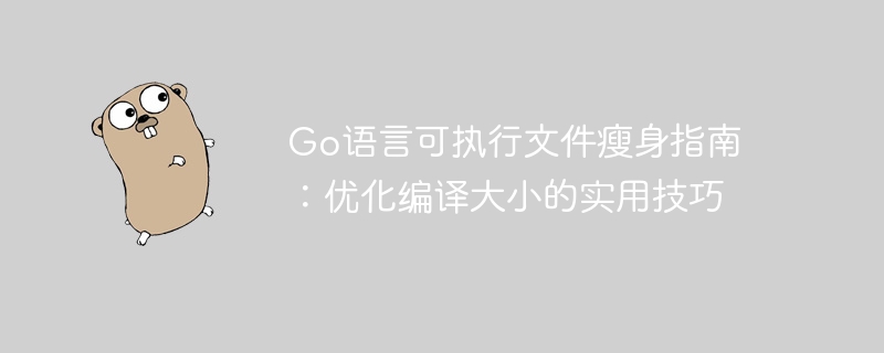 Go程序瘦身技巧：优化编译体积实用方法
