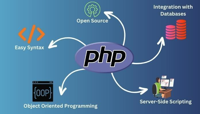 PHP易盾解密工具使用教程
